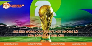 Soi Kèo World Cup Và Sức Hút Khổng Lồ Của Bóng Đá Toàn Cầu